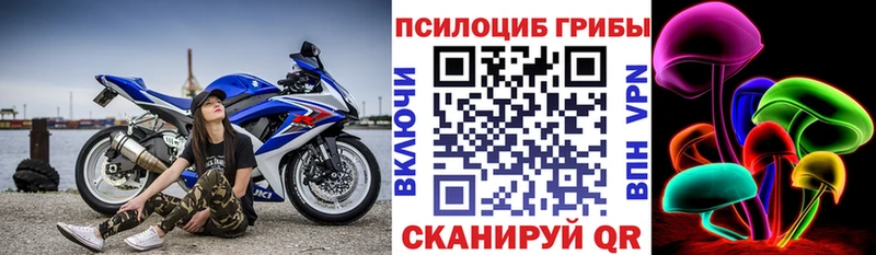 Псилоцибиновые грибы Psilocybe darknet телеграм Балахна наркотики