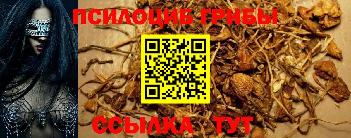 Галлюциногенные грибы мухоморы  Вход с VPN  Балахна  Галлюциногенные грибы Cubensis 