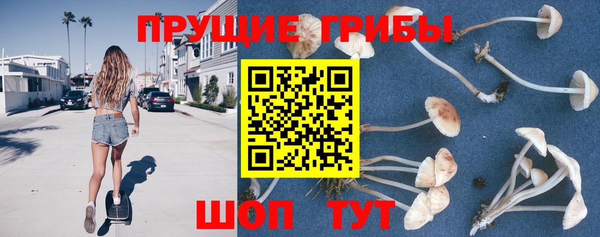 Псилоцибиновые грибы Cubensis  Вход с VPN  цена   Балахна 